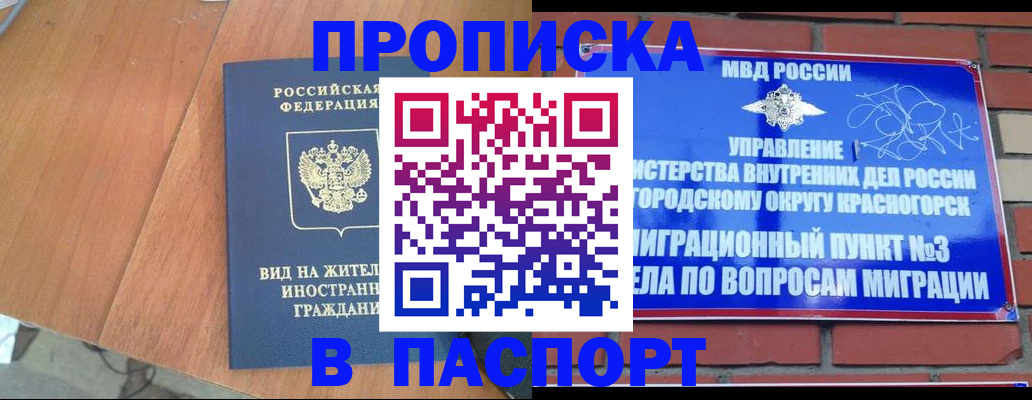 найти адрес прописки в Курчатове